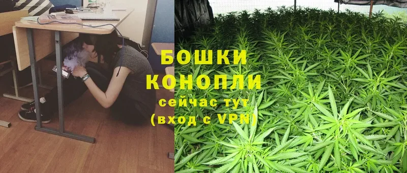 OMG зеркало  Ахтубинск  Конопля SATIVA & INDICA  наркотики 